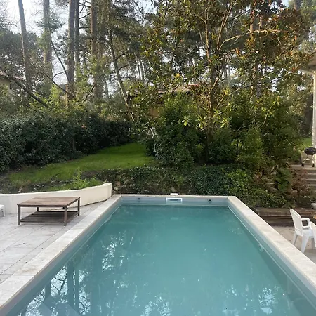 Foret Proche Avec Piscine Partagee