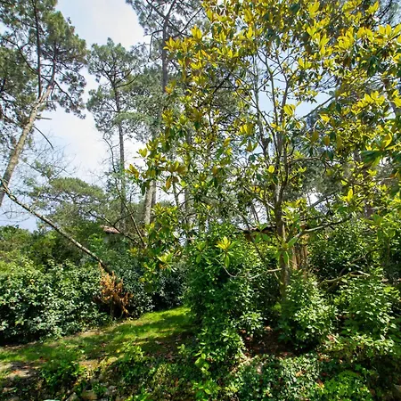 Feriehus Foret Proche Avec Piscine Partagee Pyla-sur-Mer