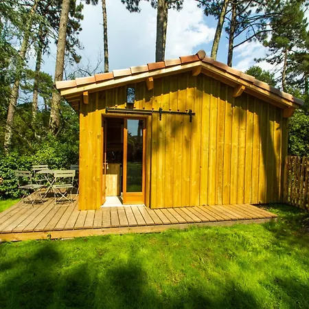 Foret Proche * Pyla-sur-Mer