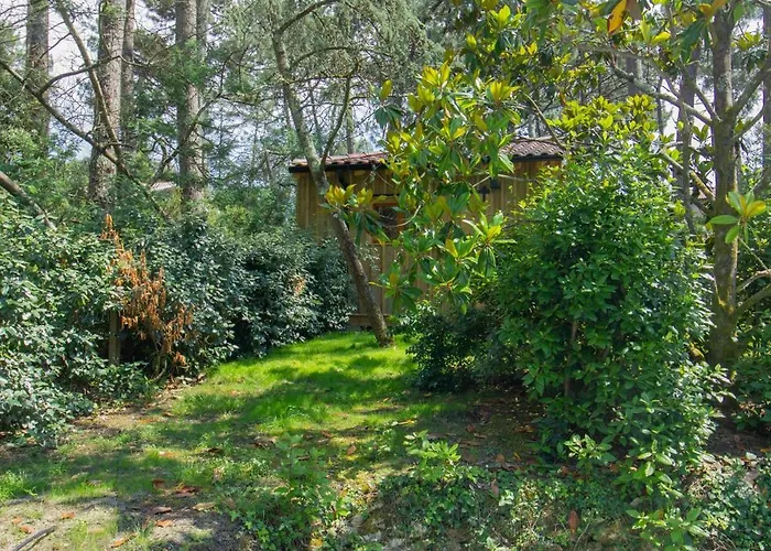 Foret Proche Avec Piscine Partagee Pyla-sur-Mer