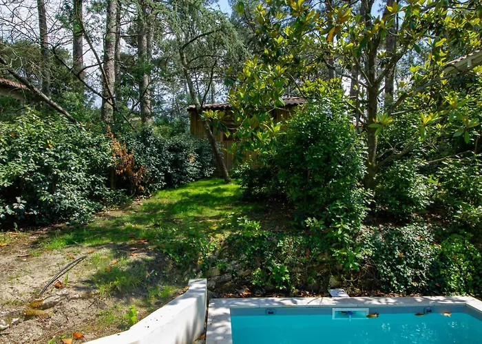 Foret Proche Avec Piscine Partagee